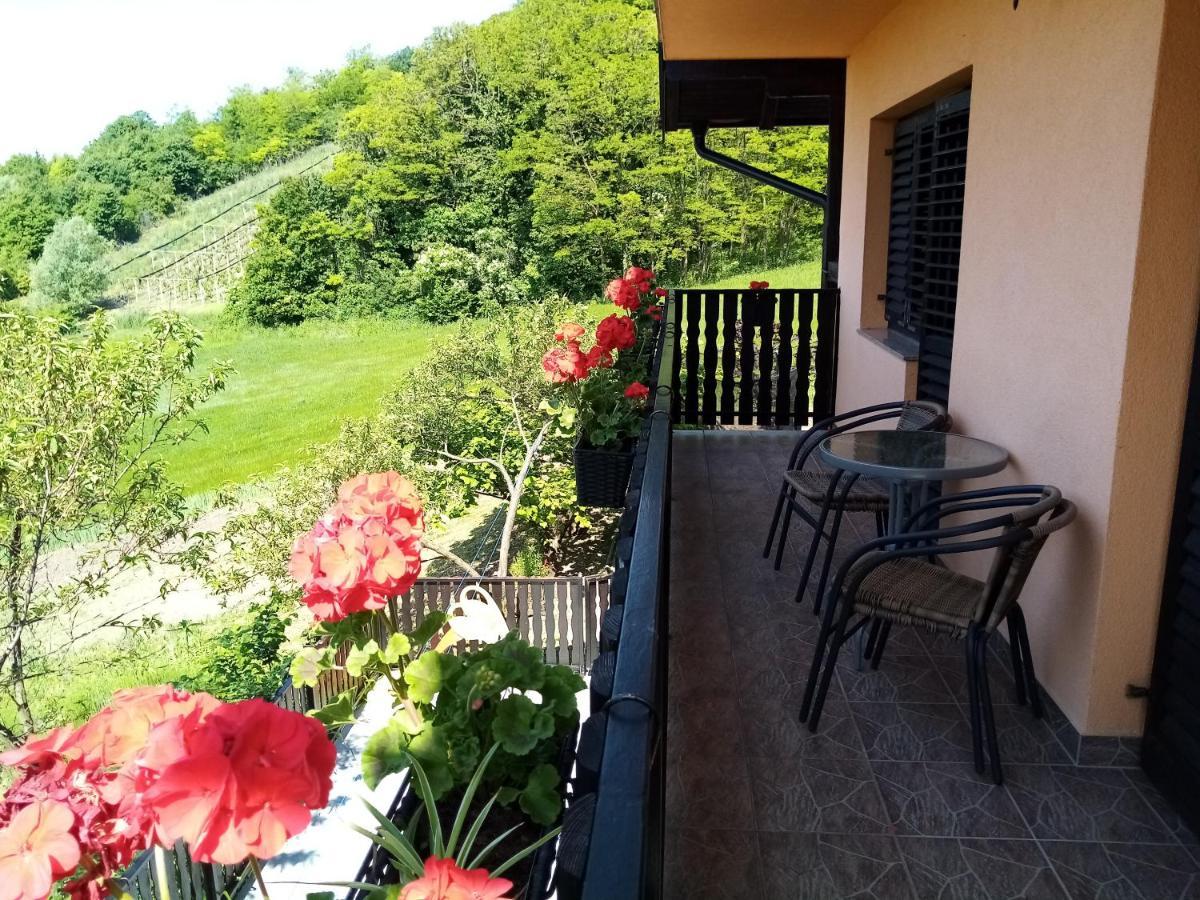Apartman Potocki Крапина Екстериор снимка