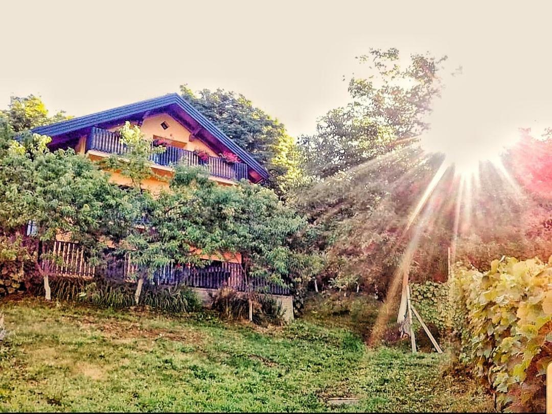 Apartman Potocki Крапина Екстериор снимка
