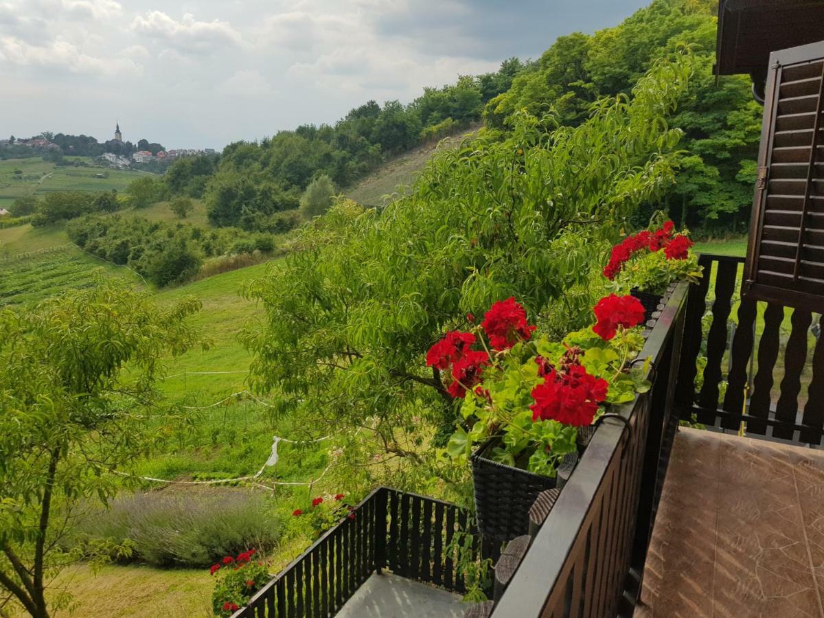 Apartman Potocki Крапина Екстериор снимка