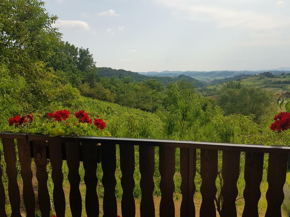 Apartman Potocki Крапина Екстериор снимка